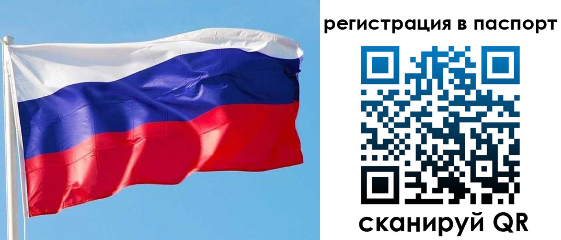 прописка законно в Котово
